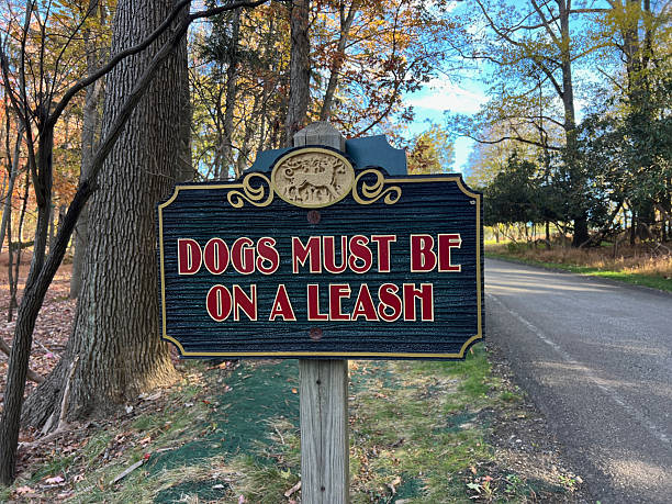 istock Dogs Must Be on a Leash Sign 2245195157