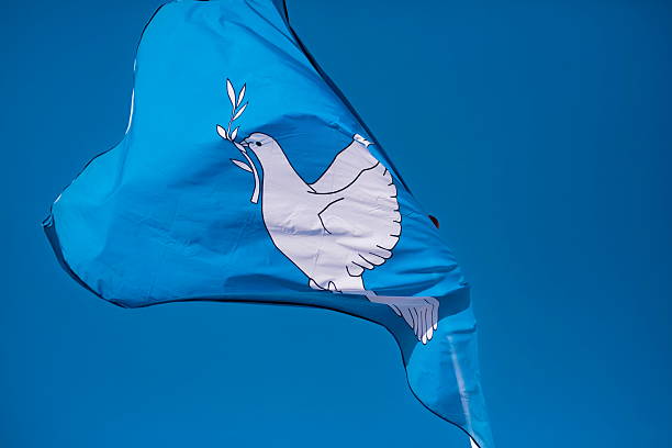 istock White Dove Peace Flag Detail 2245195269