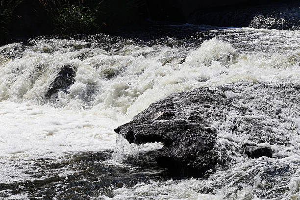 istock A rock in the water that has the shape of a monster 2245196459