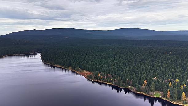 istock Landscape for filming, Lush forest stretching along rugged 2245198490