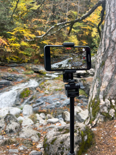 Smartphone on tripod captures scenic forest stream in autumn