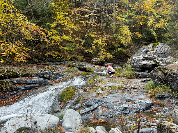 istock Woman exploring autumn creek in forest 2245198927