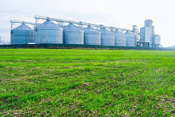 istock Silver grain silos on a green field. Modern grain storage facility with multiple silos near a agricultural field 2245201503