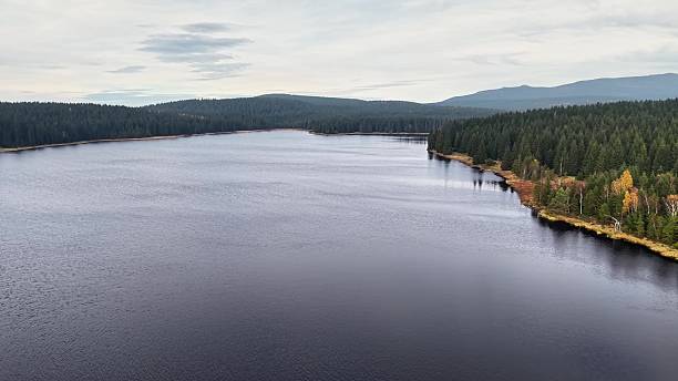 istock Calm reservoir overlooking pine trees and distant rolling hills 2245203155