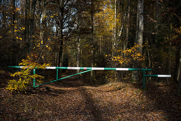 barrier on the path in the green forest