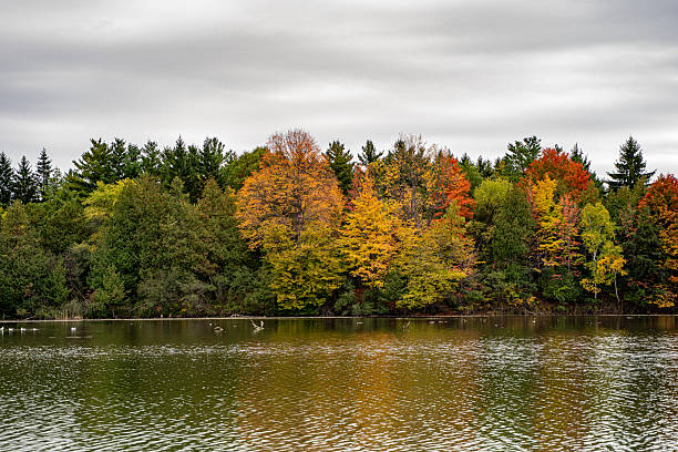 istock Colorful autumn trees by the lakeside in Canada. 2245205840