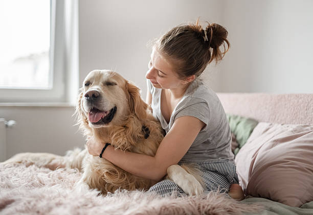 istock Smiling Girl Plays With Dog 2245208000