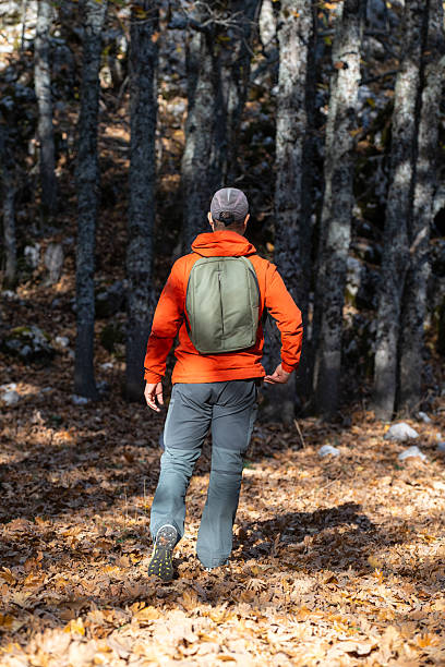 istock A hiker walking alone with a backpack in a forest covered with autumn leaves, seen from behind. Nature, adventure, and exploration concept. 2245209058