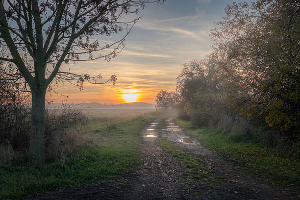 istock Rural road and misty morning 2245213404