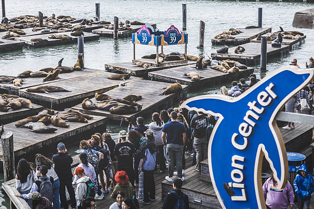 People visting Pier 39, a popular spot with restaurants and shopping, at Fishermans Wharf at afternoon in San Francisco
