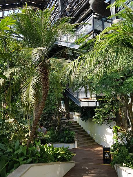 istock Green tropical plants in the botanical garden 2245221306