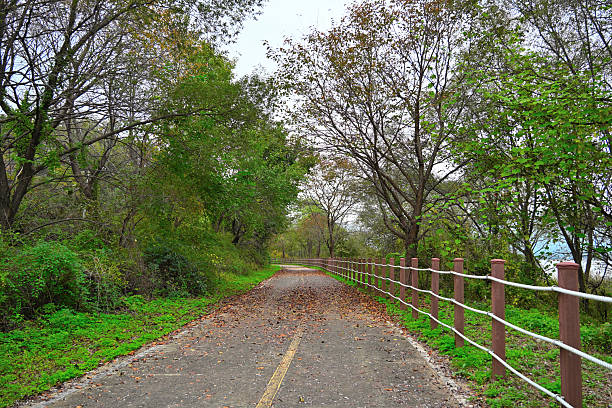 istock A road with fallen leaves by the river 2245224357