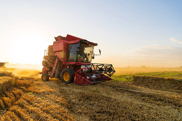 istock The combine is harvesting the wheat in the evening 2245227239