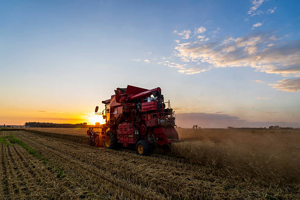istock The combine is harvesting the wheat in the evening 2245227346
