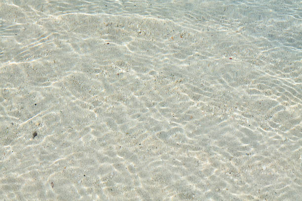 Moments from a vacation at a luxury beach resort in Jamaica