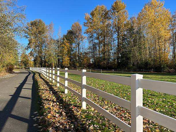 istock A long white fence runs beside a winding lane, adorned with fallen leaves. The backdrop features vibrant autumn trees under a clear blue sky, creating a peaceful atmosphere. 2245241167