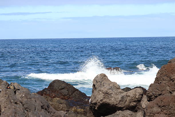 istock Beach Puerto de la Cruz 2245242782