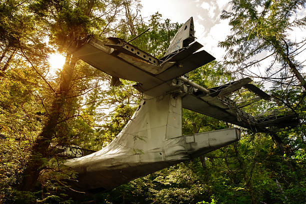 The fuselage of the B-52 sits on Elephant Mountain with American flags. The plane parts are left as a memorial to the dead.