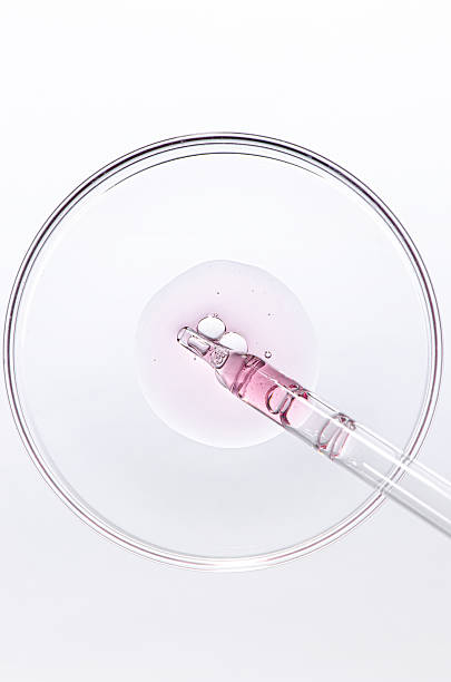 istock A sample of body cosmetics in a Petri dish. 2245246532