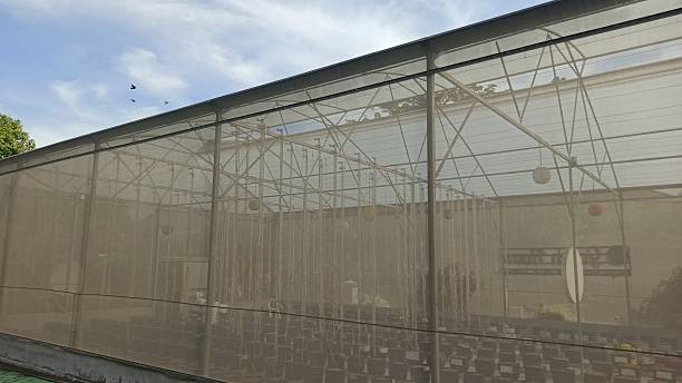 istock Plants Thriving in a Greenhouse Concept 2245250877