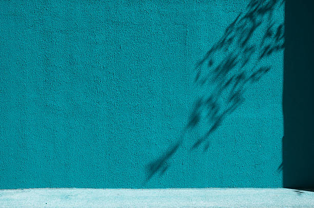 Wall background with shadows from branches and leaves in a trendy transformative teal color.