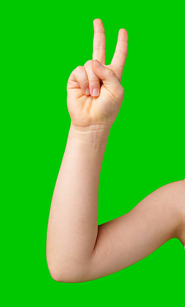 istock A child's hand displaying a peace sign against a bright green background 2245255099