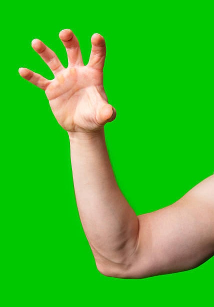istock Hand raised against a vibrant green background 2245255102