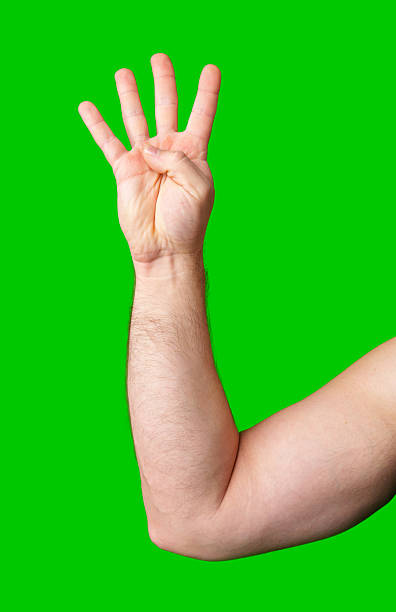 istock A hand showing four fingers against a bright green background 2245257844
