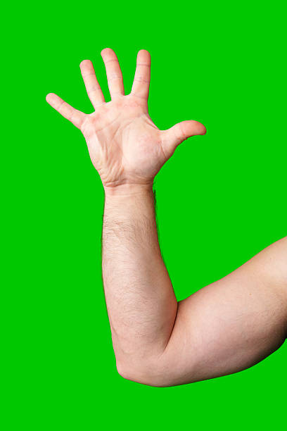 istock A raised hand against a vibrant green backdrop signaling for attention or greeting 2245264666