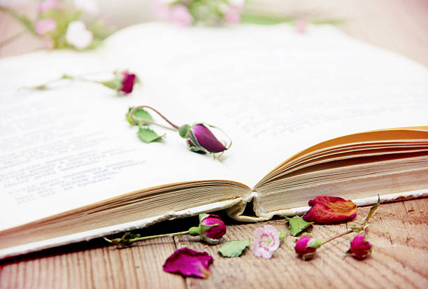 istock Dry roses and old book. Toned image 2245266896