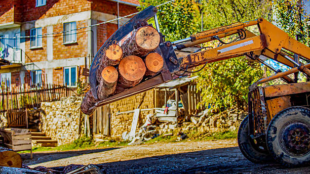 istock Loader Carrying Firewood Logs in Rural Village 2245270820