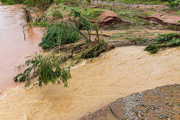 river in loire in sancerre in bourgogne