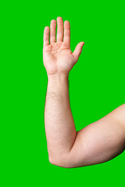 istock A raised hand against a vibrant green backdrop signaling for attention or greeting 2245276156