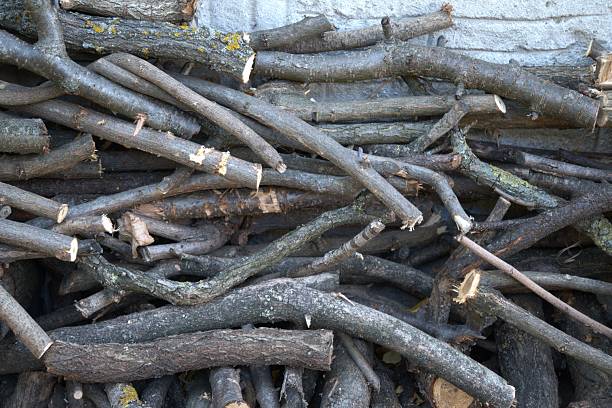istock Firewood stacked beside house wall 2245282902