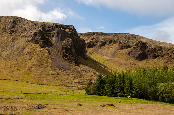 South Iceland known as Sudurland, is a region famous for its stunning natural landscapes, including waterfalls, glaciers, and black sand beaches. Key attractions include the Skogafoss and Seljalandsfoss waterfalls, Vatnajokull National Park, and the iconic Reynisfjara Black Sand Beach.