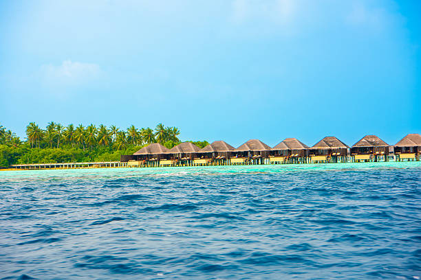 Wooden footbridge jetty into tropical sea at dusk, Maldives
