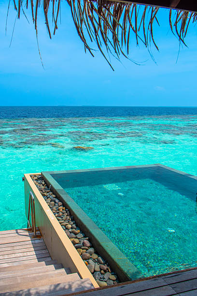 istock Maldives Tropical Island 2245289045