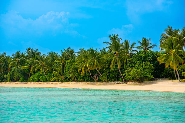istock Maldives Tropical Islands 2245289047