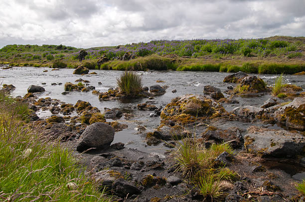 istock View along river with stones covered in moss 2245289810