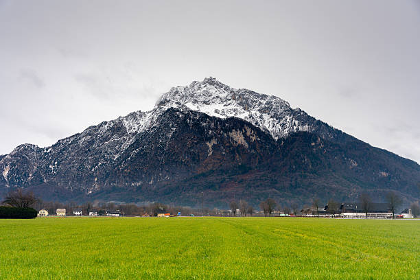 Salzburg, Austria - December 22, 2024: Panoramic view of the Austrian Alps with vibrant green winter grass