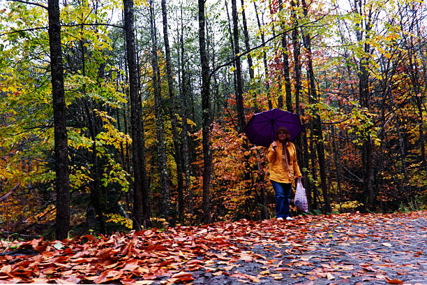 The scene captures the mood of a fall walk.