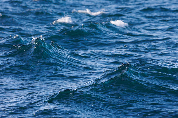 istock Small waves forming on the water in the fjord 2245297933