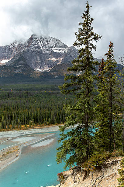 istock Braided turquoise river with mountain backdrop in Jasper National Park 2245299644
