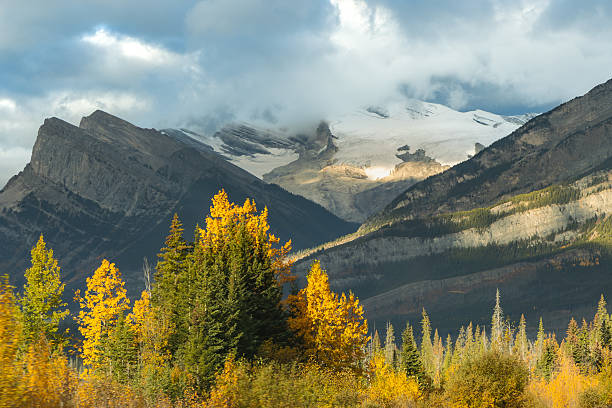 istock Glacier above autumn forest beneath stormy sky in Jasper National Park 2245299814