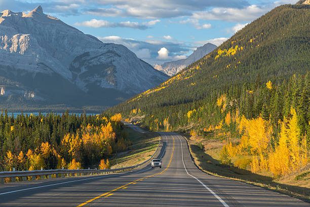 istock Winding autumn road through forest in Alberta’s Rocky Mountains 2245300069
