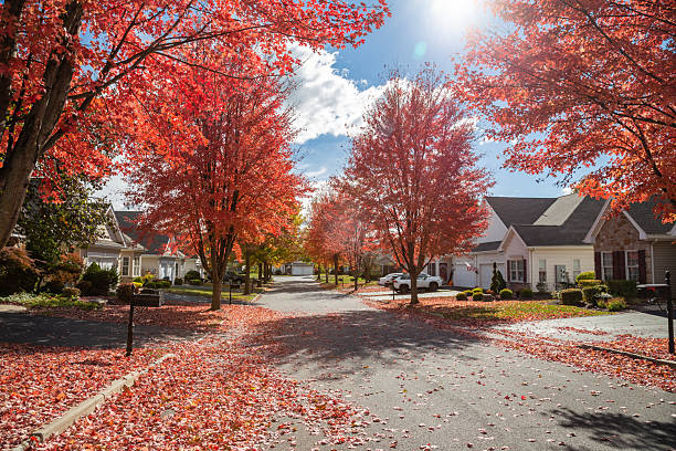 istock Tree lined street in Pennsylvania in late October right before Halloween. 2245300240