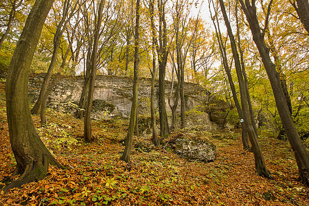 istock Autumn landscape with picturesque rocks 2245300469