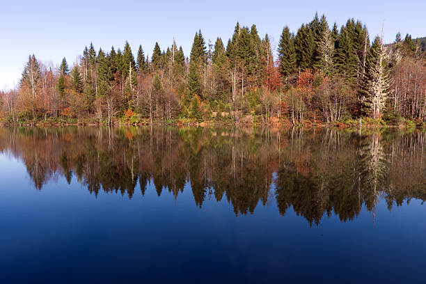 istock Autumn Lake Reflection with Vibrant Forest 2245300944