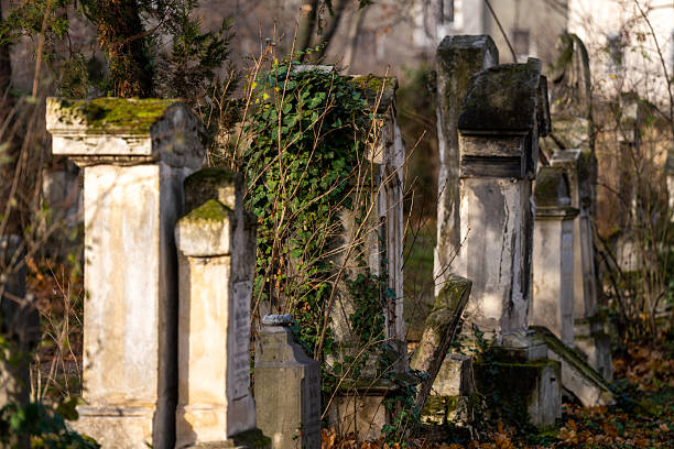 The Old Synagogue cemetery in Krakow Poland