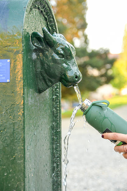 Close-up of a public drinking fountain in Turin, Italy, featuring a sculpted bull head spout. A person is filling a reusable green water bottle with fresh, potable water from the fountain, emphasizing sustainability and access to clean water in the city.